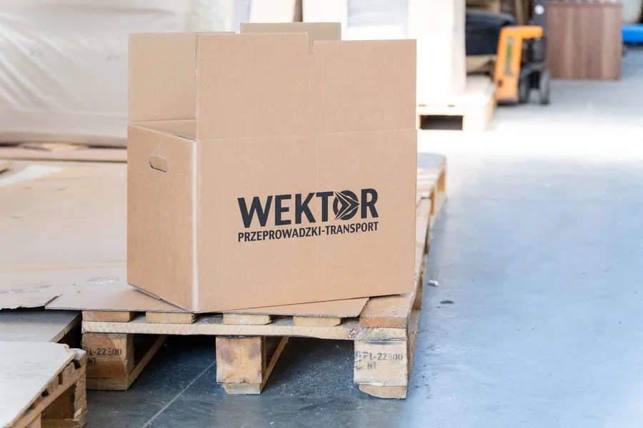Karton Wektor przygotowany do magazynowania mienia